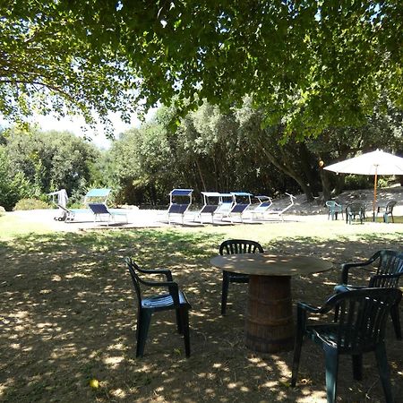 Scappo In Umbria, Casale Monti Villa Montoro  Ngoại thất bức ảnh