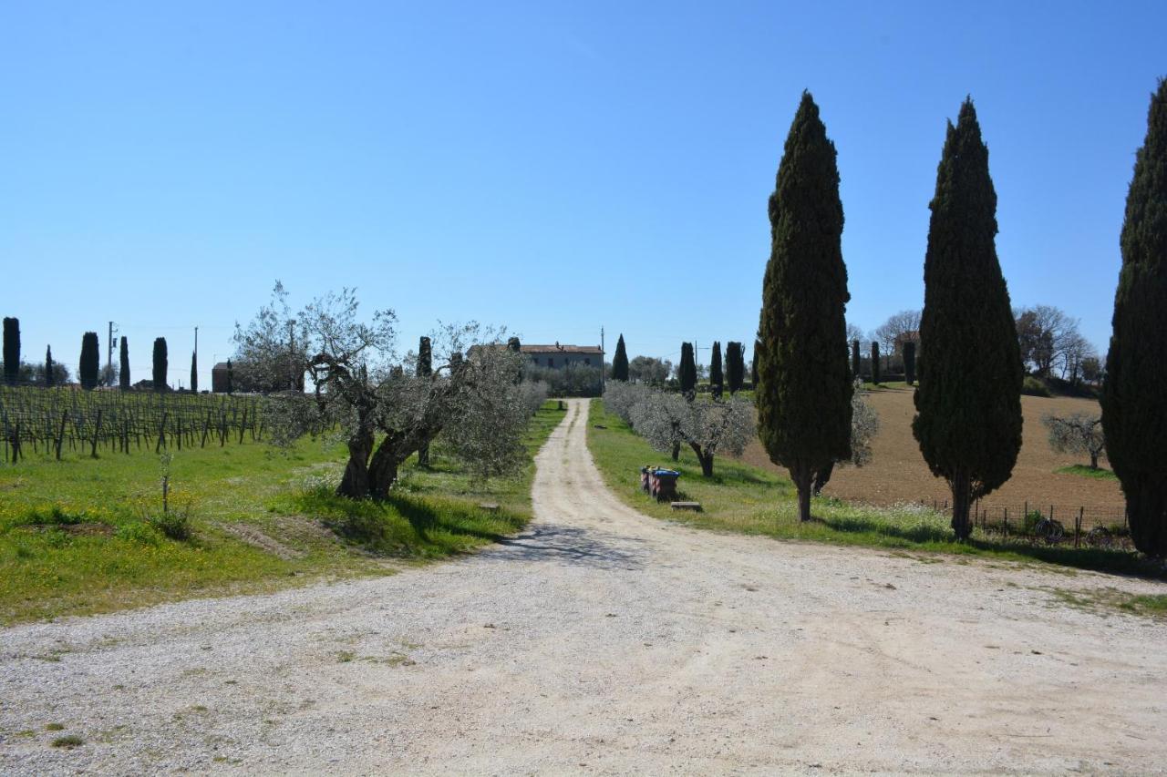 Scappo In Umbria, Casale Monti Villa Montoro  Ngoại thất bức ảnh